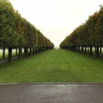 Pvt Ellis A. Lupton is buried in the St. Mihiel American Cemetery